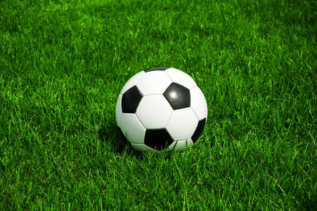 用户张教练头像